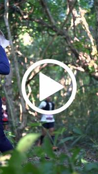 BIB:  <button type="button" onclick="openModal(28056390)" class="btn btn-primary btn-sm float-right" data-toggle="modal" data-target=".modal-high-quality">
                <i class="fa fa-download"></i> Download
                </button>